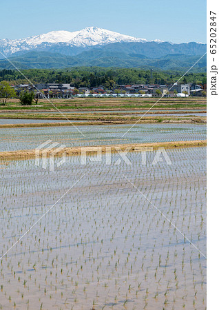 霊峰白山遠望/石川県小松市より 霊峰白山遠望/石川県小松市より 65202847