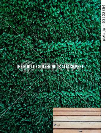 THE ROOT OF SUFFERING IS ATTACHMENT Buddha quote on wooden bench backrest with green plant background 65202864