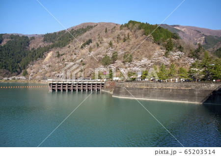 桜咲く奥多摩湖 65203514