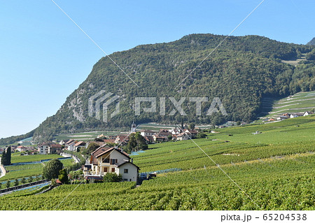 スイスワインの産地イヴォルヌYvorne 65204538