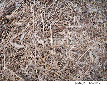 Dry golden yellow hay closeup. Farming harvest Dry golden yellow hay closeup. Farming harvest 65204706