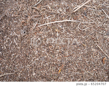 Agricultural background, dried pressed hay Agricultural background, dried pressed hay 65204707