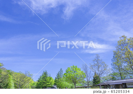 空 新緑 青 快晴 空 新緑 青 快晴 65205334