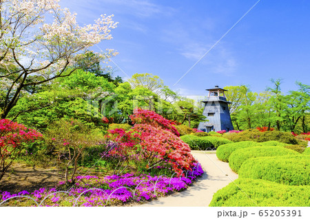 花咲く沼田公園３ 65205391