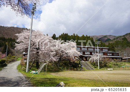 満開の岩泉二升石小学校跡 65205635