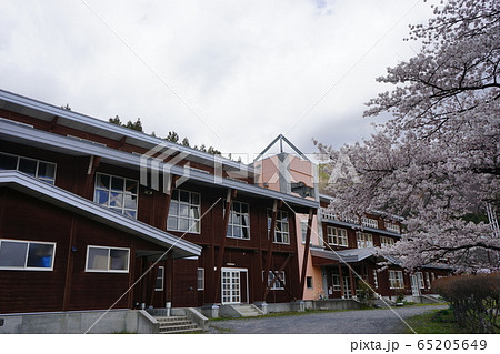 満開の岩泉二升石小学校跡 65205649