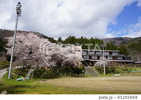 満開の岩泉二升石小学校跡 満開の岩泉二升石小学校跡 65205668