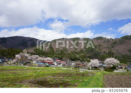 満開の岩泉二升石小学校跡 満開の岩泉二升石小学校跡 65205676