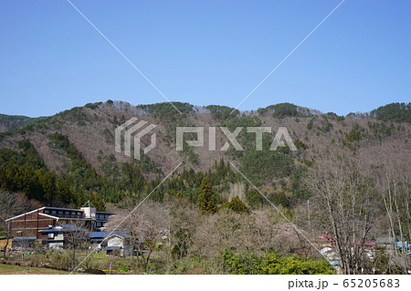満開の岩泉二升石小学校跡 65205683