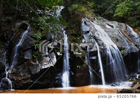 京都府/ 金引の滝（日本の滝100選） 65205766