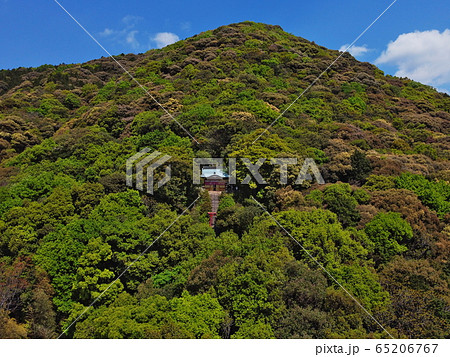 正現稲荷神社 正現稲荷神社 65206767