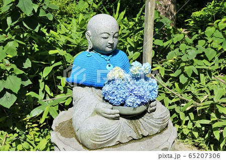 鎌倉　明月院の紫陽花とお地蔵様 65207306