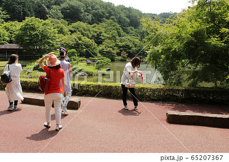 修善寺 虹の郷 修善寺 虹の郷 65207367