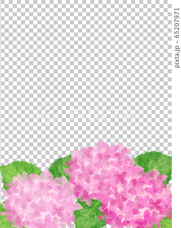 Hydrangea frame lower frame pink 65207971