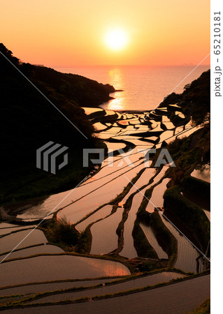 佐賀_浜野浦の棚田の夕日絶景 佐賀_浜野浦の棚田の夕日絶景 65210181