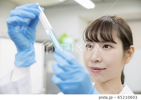 研究 開発 実験イメージ 試験管を見る若い女性研究員 研究 開発 実験イメージ 試験管を見る若い女性研究員 65210603