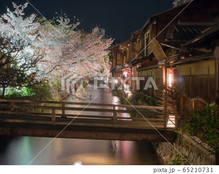 《京都府》祇園白川　夜桜 65210731