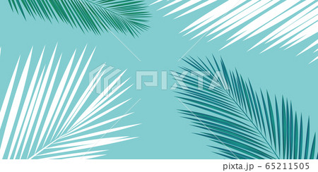 ヤシ 木 葉 背景 ヤシ 木 葉 背景 65211505