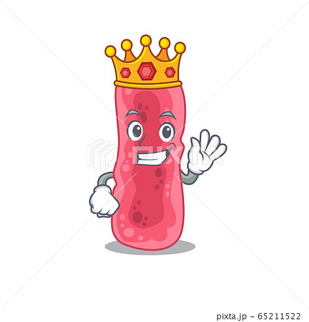 A Wise King of shigella sonnei mascot design style A Wise King of shigella sonnei mascot design style 65211522