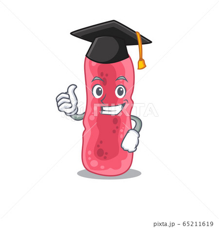 Happy face of shigella sonnei in black graduation hat for the ceremony 65211619