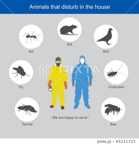 Animals that disturb in the house. Humans wearing Animals that disturb in the house. Humans wearing 65211725