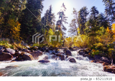 Autumn landscape with trees and river, Caucasus mountains Autumn landscape with trees and river, Caucasus mountains 65211910