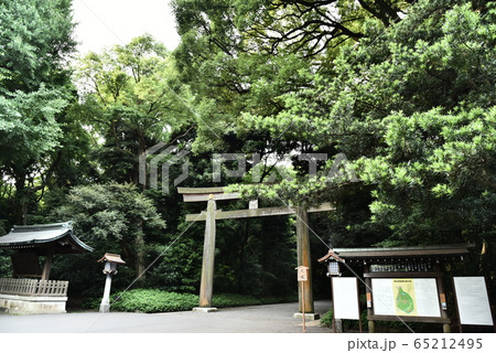 明治神宮　鳥居　北参道 65212495
