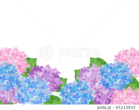 紫陽花の水彩画 フレーム付き 紫陽花の水彩画フレームセットのイラスト素材 [114096428] - PIXTA