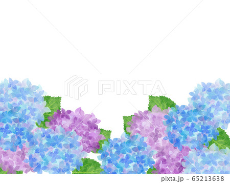 紫陽花のフレーム 下枠 水彩風イラストのイラスト素材 [65213638