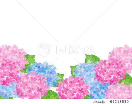 紫陽花のフレーム 下枠 水彩風イラスト ピンクと水色のイラスト素材