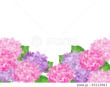 紫陽花のフレーム 下枠 水彩風イラスト ピンクと紫のイラスト素材