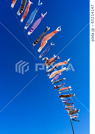 鯉のぼり 65214147