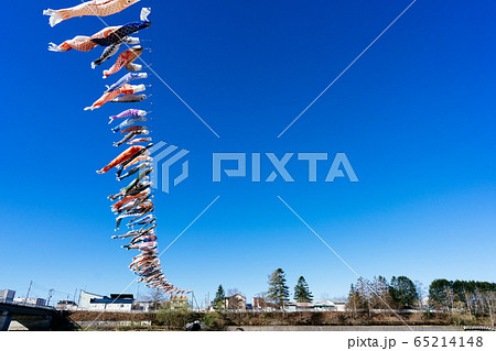 鯉のぼり 65214148