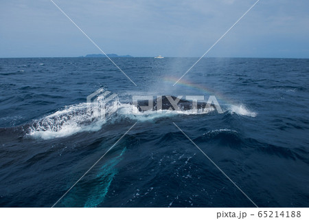 RAINBOW BLOW RAINBOW BLOW 65214188