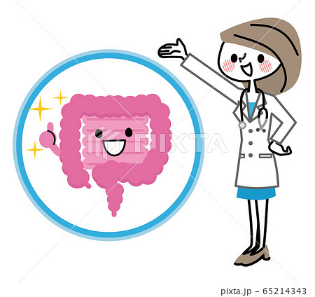 女医と腸 健康 女医と腸 健康 65214343