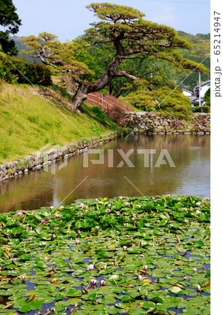 安芸城跡 65214947