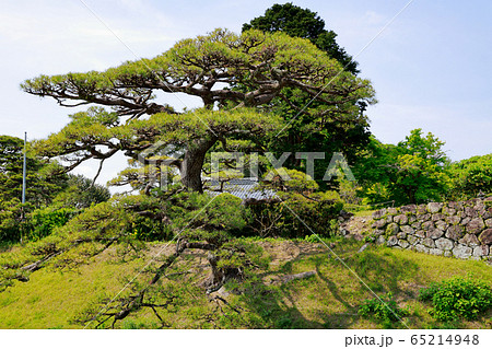 安芸城跡 65214948