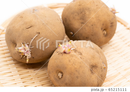 芽が出たじゃがいも 65215111