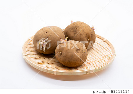 芽が出たじゃがいもの写真素材
