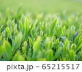 茶畑② 65215517