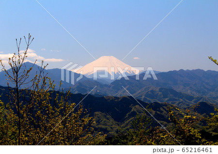 高尾山、富士山 高尾山、富士山 65216461