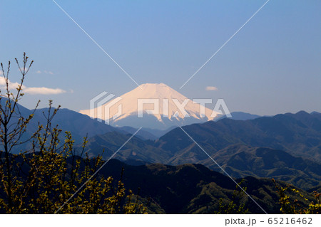 高尾山、富士山 高尾山、富士山 65216462