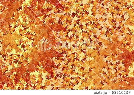 和風　もみじのイラスト 65216537