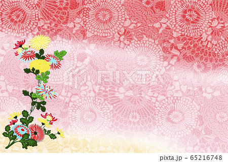 和風 菊の花のイラスト 和風 菊の花のイラスト 65216748