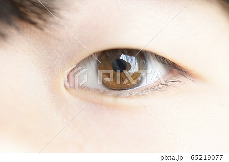 眼のアップ 65219077