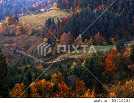 Village Houses and autumn foliage trees in the 65219155