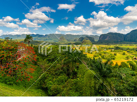 Vinales Valley site in  Pinar del Rio of Cuba 65219172