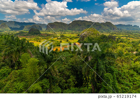 Vinales Valley site in  Pinar del Rio of Cuba 65219174