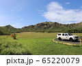 草原 65220079