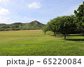 山と木 65220084